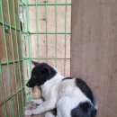 반운리마을회관 이미지