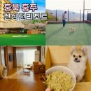 비비큐(BBQ)구민운동장역점 | 충주숙소 켄싱턴리조트 조식 충주 애견동반 호텔 반려견동반