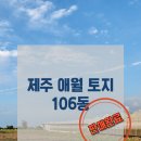 에이치앤엘 이미지