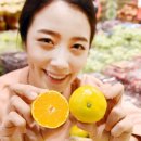포토하우스 이미지