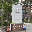 아이랑 가기 좋은 맛집 / 강릉 동화가든 - 짬뽕순두부 / 청국장 집