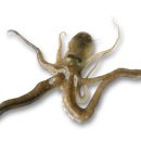 푸른바다와금빛해변 이미지