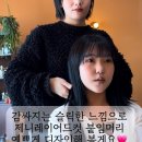 언디베