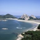 삼성공판장 이미지