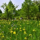 푸른수목원 이미지