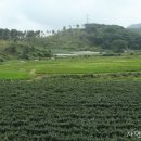 백곡면문화복지센터 이미지