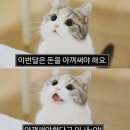 신월밥상분식 | 뭐 대~단한거 먹고 산다고 기록까지는 하고 그러냐