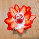 토끼를따라간앨리스 이미지