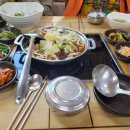 지리산버섯골 | 경남 산청 약초와 버섯골