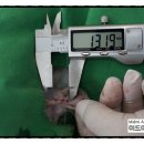 미드미 동물의료센터 이미지