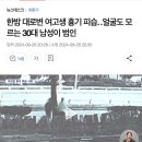아무것도 안하는데 뭔가 바쁨
