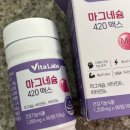 네이처러스 비타랩스 마그네슘 420 맥스 사용 후기 눈떨림에 꼭먹기