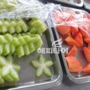 과일랜드 네이버블로그