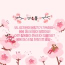 보나유치원 이미지