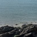 발레나 리조트 434-5 | Ep1 대천 보령 1박 2일 여행, 발레 리조트, 맛집 추천 까쥐.. ♡⋆。˚