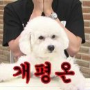인 이미지