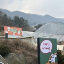 펫살롱 테리루이 | 남양주애견카페 카페인퀸스