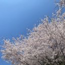 바다요정 | 좋아하는 마음 듬뿍 담아 🌸 4월 바페로그 - 1