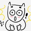 미스터리코다리 - 청주시 청원구 | 미스터리코다리