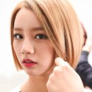 헬로컷 이미지