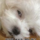 홀리데이바 이미지