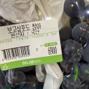 꽃보다 타이어 관저점 | August Dump