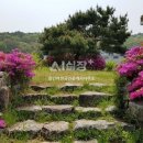 용인어반공인중개사사무소 이미지