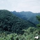 수리산 이미지