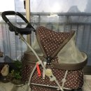 수원-0266 이미지