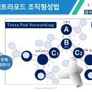 팀 테트라포드 이미지