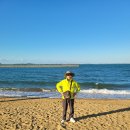 조은석 | 대광고 22회 졸업 55주년 기념 일본여행