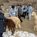 대상투어 이미지