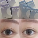 미 in 뷰티 | 고윤정렌즈 자연광렌즈 데일리렌즈 렌즈미 판데이아(그레이, 베이지) 착용후기