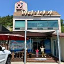 바다이야기 | [포항 맛집] 아이와 함께 가기 좋은 오션뷰 물회맛집, 영일만 '바다이야기회식당' 솔직후기!