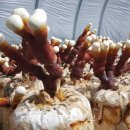 성주농장 이미지