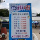 용봉산글램핑 | [용봉산글램핑수영장] 그럭저럭 괜찮았던 유료수영장