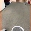 새로클린강남지사