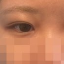 이던책나무작은도서관 | [스페인 교환학생] 6. 바르셀로나 일주일 후기 (+수업 후기) | 교환학생이어도 학교는 다니기 싫어!!!