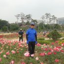 데미샘자연휴양림 이미지