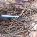 월악로농장 이미지