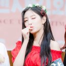 고란 이미지