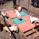 말무리농장 이미지