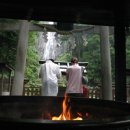 (여행,아사히) 여행 클럽<1회>「森の主」たちを訪ねる旅 ～熊野古道 那智四十八滝 和歌山県～ 이미지