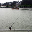 김용표 | 어흥타이거의 대부도 등대바다 낚시터_ 민어 낚시