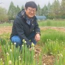 강화농부이씨 이미지