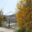 웅동마을 이미지