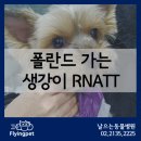 하얀강아지&고양이 이미지