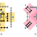 龍馬10體 하도(河圖) vs 神龜9用 낙서(洛書) 이미지