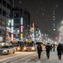 배구목장 이미지