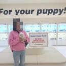 인천강아지분양 홍스퍼피 본점 | [인천애견샵]사랑스러운 반려견과의 만남! 인천강아지분양 홍스퍼피 이용 후기